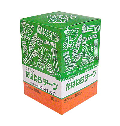 楽天市場】ニチバン たばねらテープ No.640-VPS EV15 15mm×100m (10個