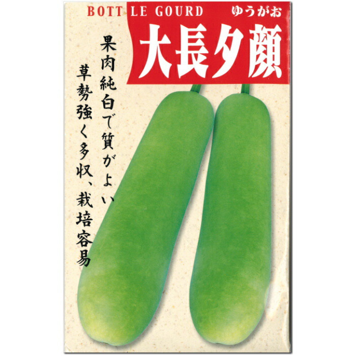 楽天市場】夕顔(ユウガオ) 赤花1株 : あなたの街のお花屋さんイングの森
