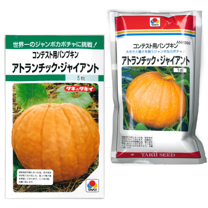 楽天市場】『 大ひょうたん 』 兵丹 種子 10ml : なえ屋