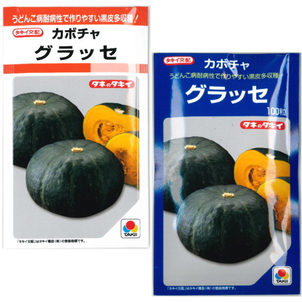 ミニ南瓜 楽天市場】ミニカボチャ【 坊ちゃん 】種子／南瓜／かぼちゃ