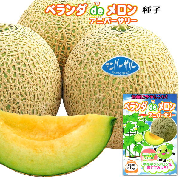 楽天市場】自根メロン苗(ころたん)おうちでネットメロン(6本
