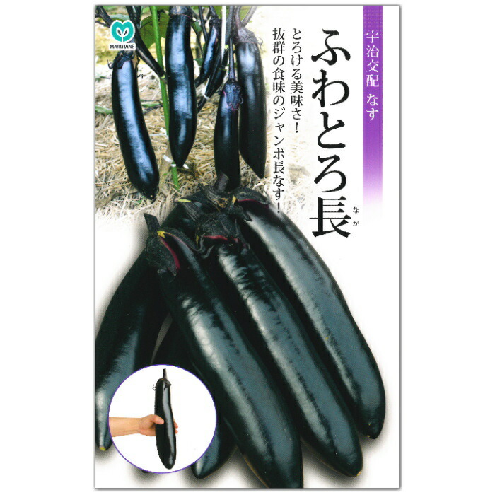 楽天市場】ネギ【 味十八番 】種子／ねぎ : なえ屋