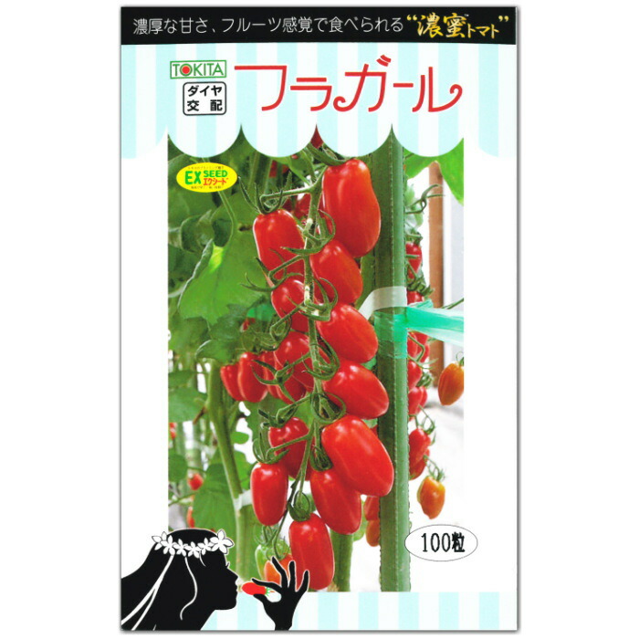 ミニトマト 種子 フラガール 100粒 とまと 甘さが踊りだす 濃厚な甘みと酸味 着日時間指定は出来ませんので 代引き Boobarcelona Com