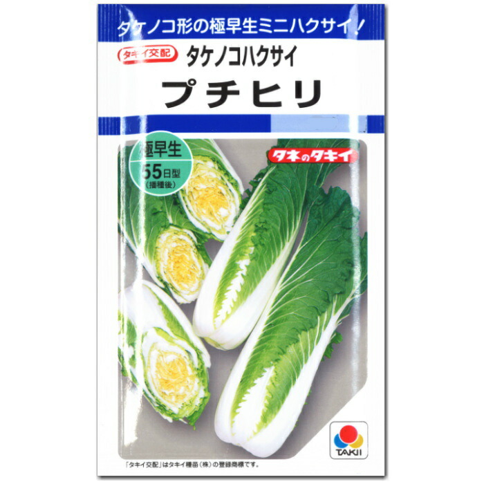 寿山石か玉石か？白菜(百歳　健康長寿縁起置物 寿山石か玉石か？白菜(百歳健康長寿縁起置物