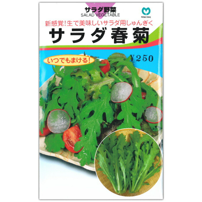 楽天市場 春菊種子 サラダ春菊 30ml なえ屋