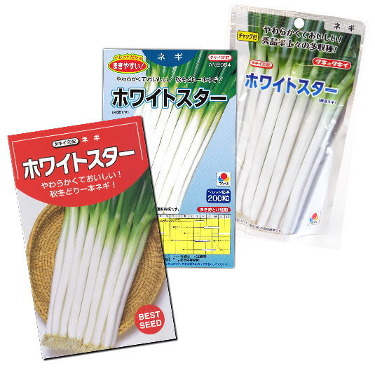 楽天市場】ネギ【 味十八番 】種子/ねぎ : なえ屋 楽天市場】ネギ【 味十八番 】種子/ねぎ : なえ屋