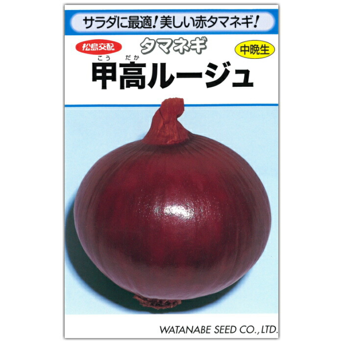 日本画(19)　玉ねぎ2 Amazon.co.jp: タマネギ 種子 ネオアース 中晩生種 玉ねぎ (2.2