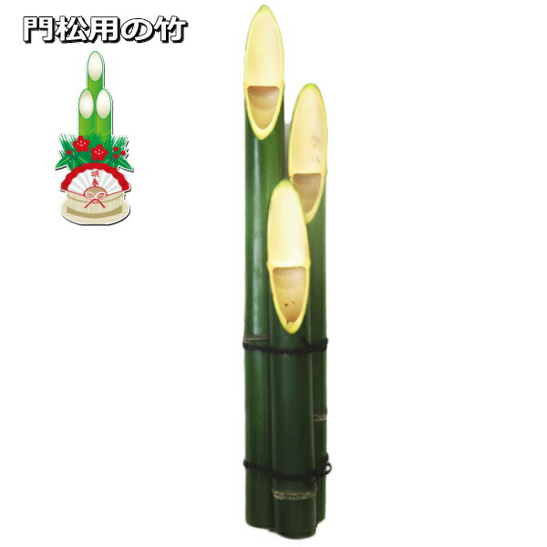 楽天市場】門松用の竹 最長60cm前後3本結束x1 お正月ディスプレイ