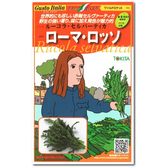 ルッコラページ 楽天市場】ルッコラ【 ローマ 】種子 500粒／ルッコラ／ルーコラ