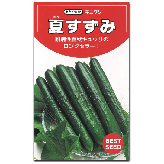 『 夏すずみ 』 きゅうり 種子 胡瓜