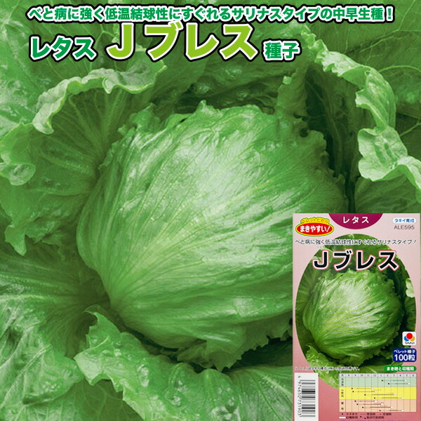 楽天市場】レタス 種 Jブレス タキイ 種苗 家庭菜園 プロ向け 大袋