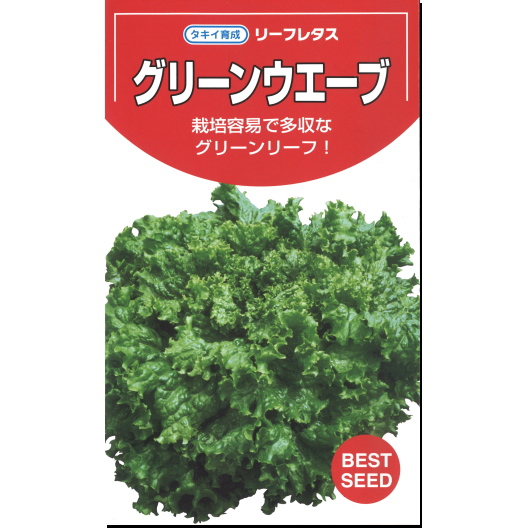 楽天市場 レタス 種子 グリーンウェーブ リーフレタス 2ml ラッキーシール対応 なえ屋