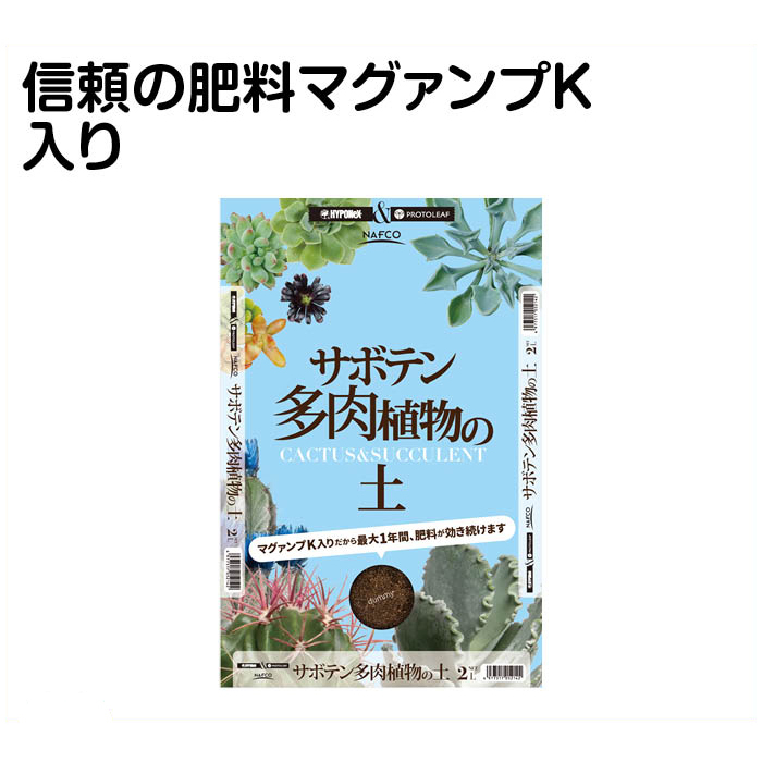 楽天市場 サボテン 多肉植物の 2l ホームプラザナフコ楽天市場店