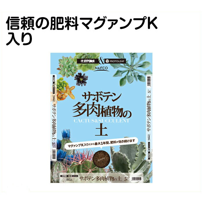 楽天市場 サボテン 多肉植物の 5l ホームプラザナフコ楽天市場店