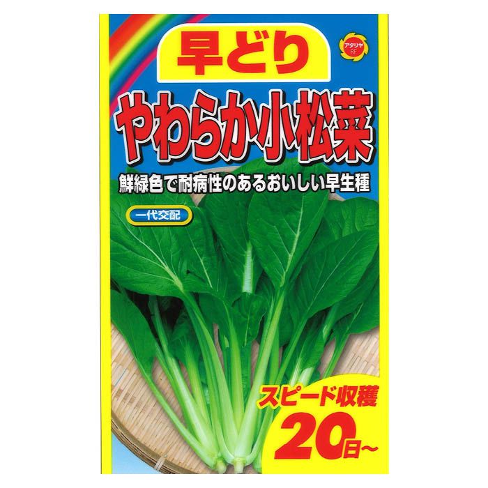 楽天市場】トーホク コマツナ 早生こまつなあおい : ホー