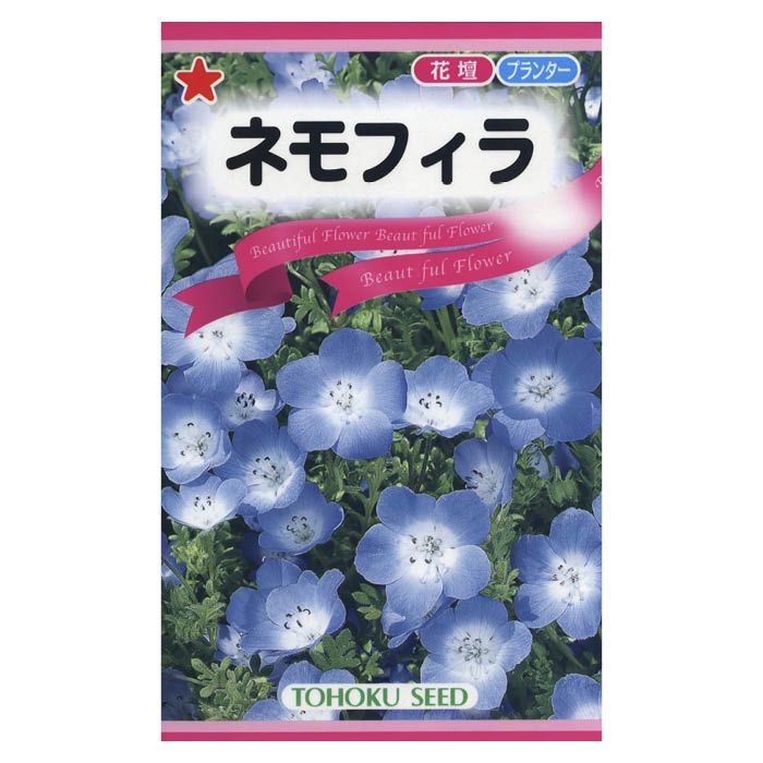 楽天市場】ネモフィラ 苗 Zシリーズ ピンク シルバーリーフ 3.5