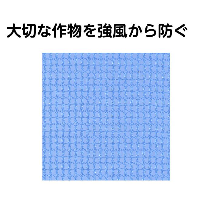 防風網　2mm目　2m×50m 11,100円