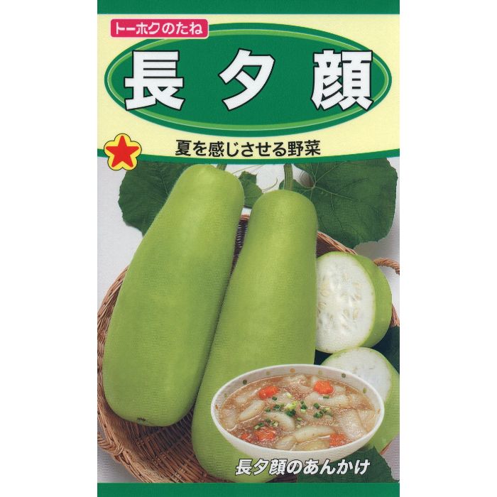 楽天市場】夕顔(ユウガオ) 赤花1株 : あなたの街のお花屋さんイングの森
