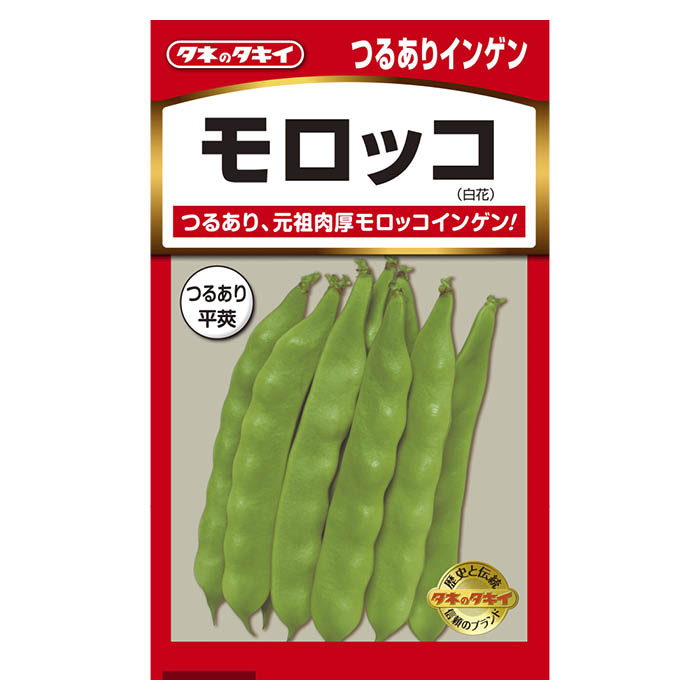 楽天市場】モロッコ隠元〈モロッコインゲン〉別称：ジャンボ隠元