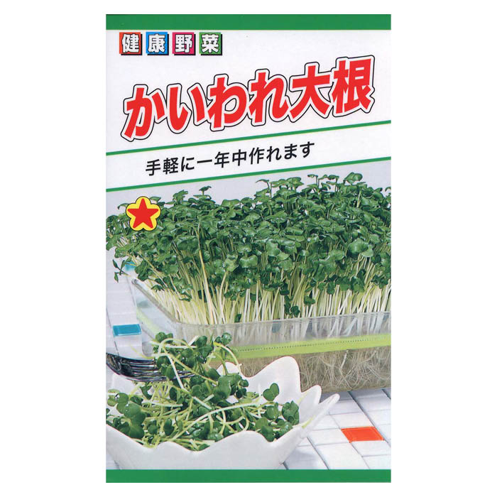 かいわれだいこん様用 楽天市場】貝割大根〈カイワレダイコン〉1ケース、20パック前後