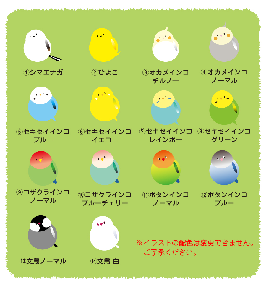 インコ 名前 ランキング トップ 画像