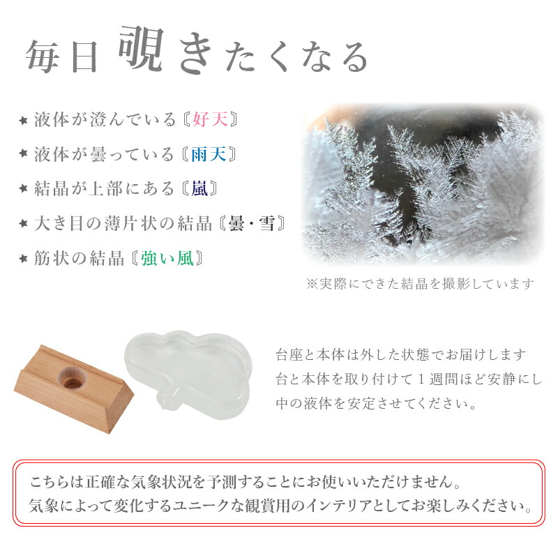 敬老の日 ストームグラス 名入れ ストーム グラス クラウド インテリア お洒落 サイエンス オブジェ 雑貨 天気 ガリレオ プレゼント ランキング 人気 おしゃれ 実用的 お祝い 翌々営業日出荷 Timgroomarchitects Com