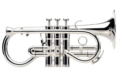 Besson コルネットケース Besson コルネットケース Case Covers - Besson