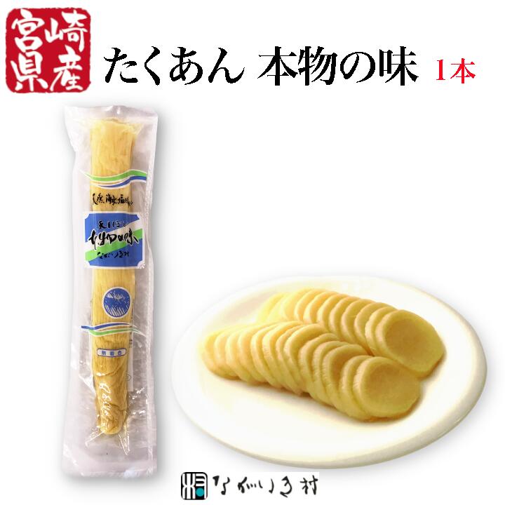 楽天市場】宮崎たくあん （白）×3本 【北海道は2本で発送】宮崎 上沖
