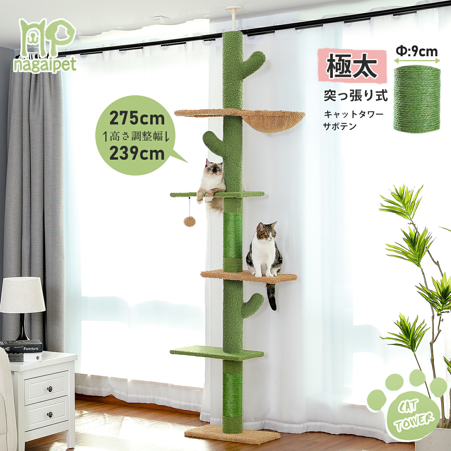 楽天市場】キャットタワー 突っ張り 太い支柱 極太 サボテン スリム