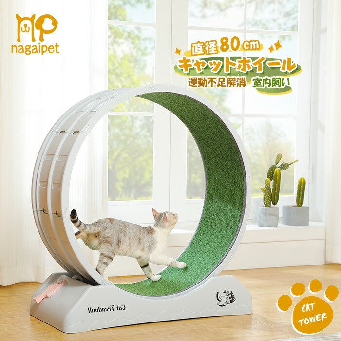 楽天市場】ワンファストキャット ONEFASTCAT 猫用 Cat Exercise