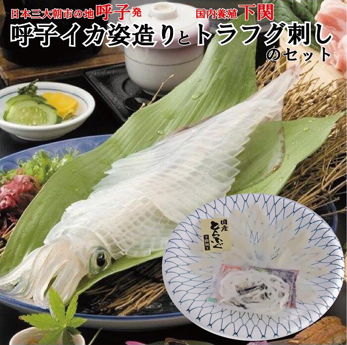 楽天市場 呼子イカ姿造りとトラフグ刺しのセット 剣先イカ 呼子 剣先 イカ いか 姿造り 刺身 イカ刺し トラフグ とらふぐ トラフグ刺し 下関 九州 国産 ギフト 御中元 永松商店