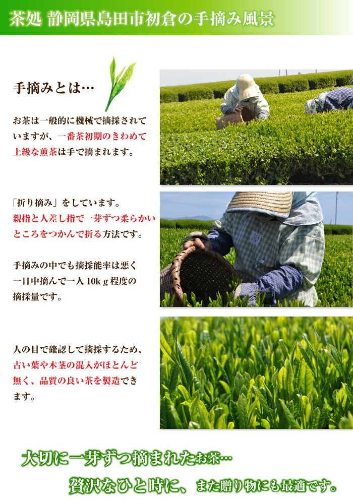 楽天市場 新茶入荷 21年度産 静岡茶 手づみ茶100ｇ やぶきた 最高級手摘み茶 ポスト投函便送料無料 お茶通販の長峰製茶