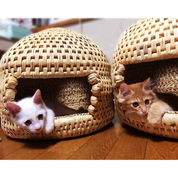 楽天市場 稲わらで作られた猫のおうち 猫つぐら 小 送料込 沖縄別途1 460円 Naganoマルシェ