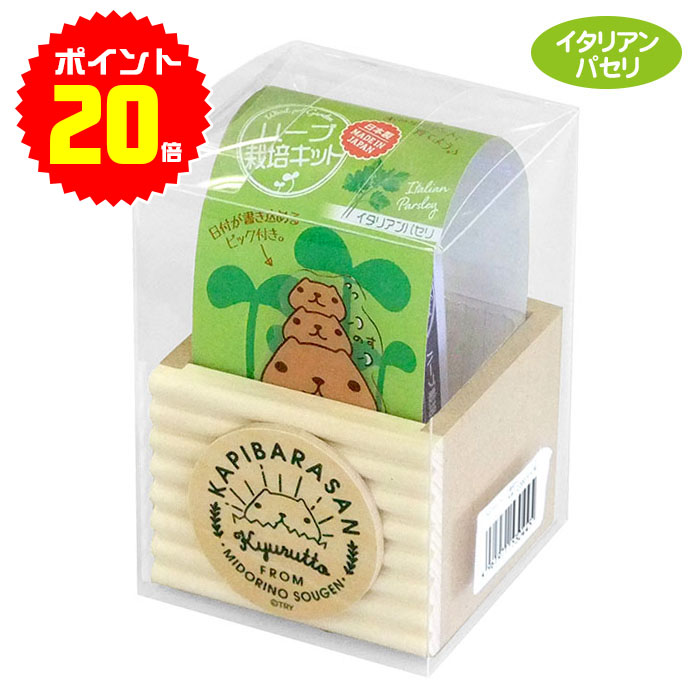 楽天市場 ポイント倍 10 30 月 まで 栽培キット Kbハーブ栽培キットミニポット 室内で手軽にかわいいガーデニング カピバラさん イタリアンパセリ 木製 プランター Woo Foo