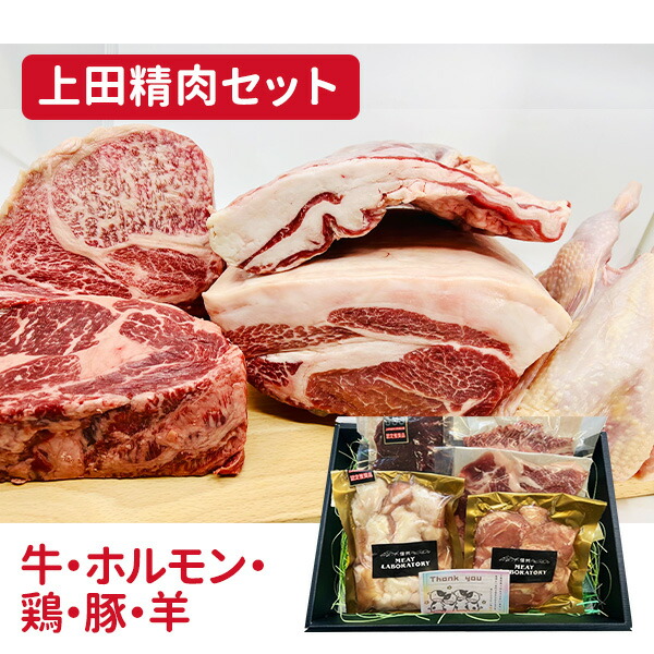 上田精肉ギフト850gセット 送料込(沖縄別途1,590円)