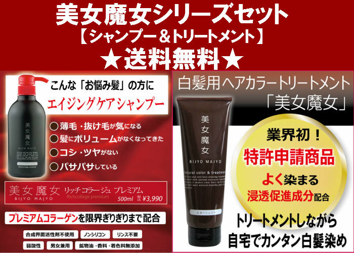 【こーちゃん】ヘアカラートリートメント「美女魔女」 プレミアム　2本 白髪用ヘアカラートリートメント 美女魔女 240g : グラスゴー