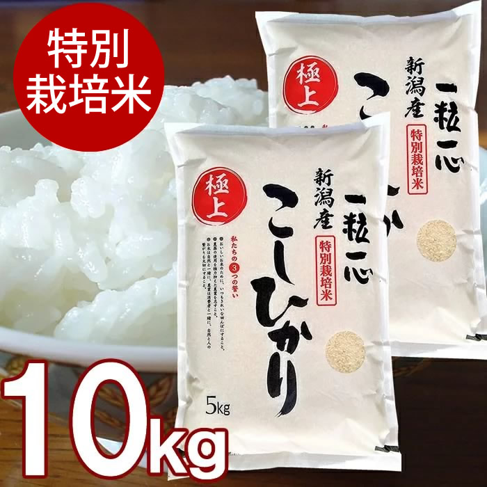 【産地直送】特別栽培米 特栽米 新潟産 こしひかり 白米 10kg 有限会社グリーン 減農薬・減化学肥料 新潟県産こしひかり お祝い お土産 ギフト プレゼント 贈り物 長岡市 長岡産 特栽