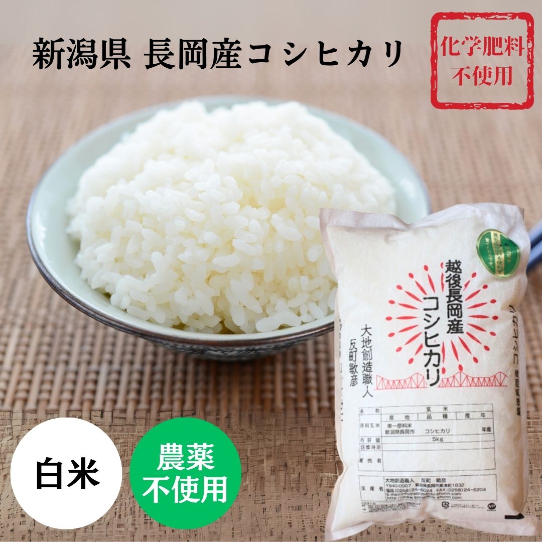 【産地直送】無農薬・化学肥料不使用 新潟 コシヒカリ 白米 選べる 2kg 5kg 10kg 大地創造職人 令和7年度新米 無農薬 無化学肥料 精白米 新潟県産こしひかり 非BL米 幻のこしひかり ギフト プレゼント 贈り物 長岡市 長岡産
