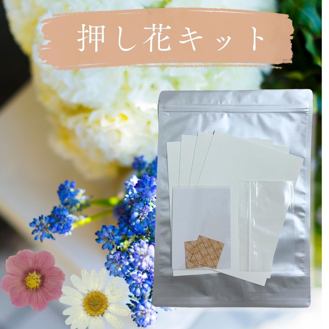 Amazon | そのまま使える押し花乾燥シート B4サイズ 100枚 吸水