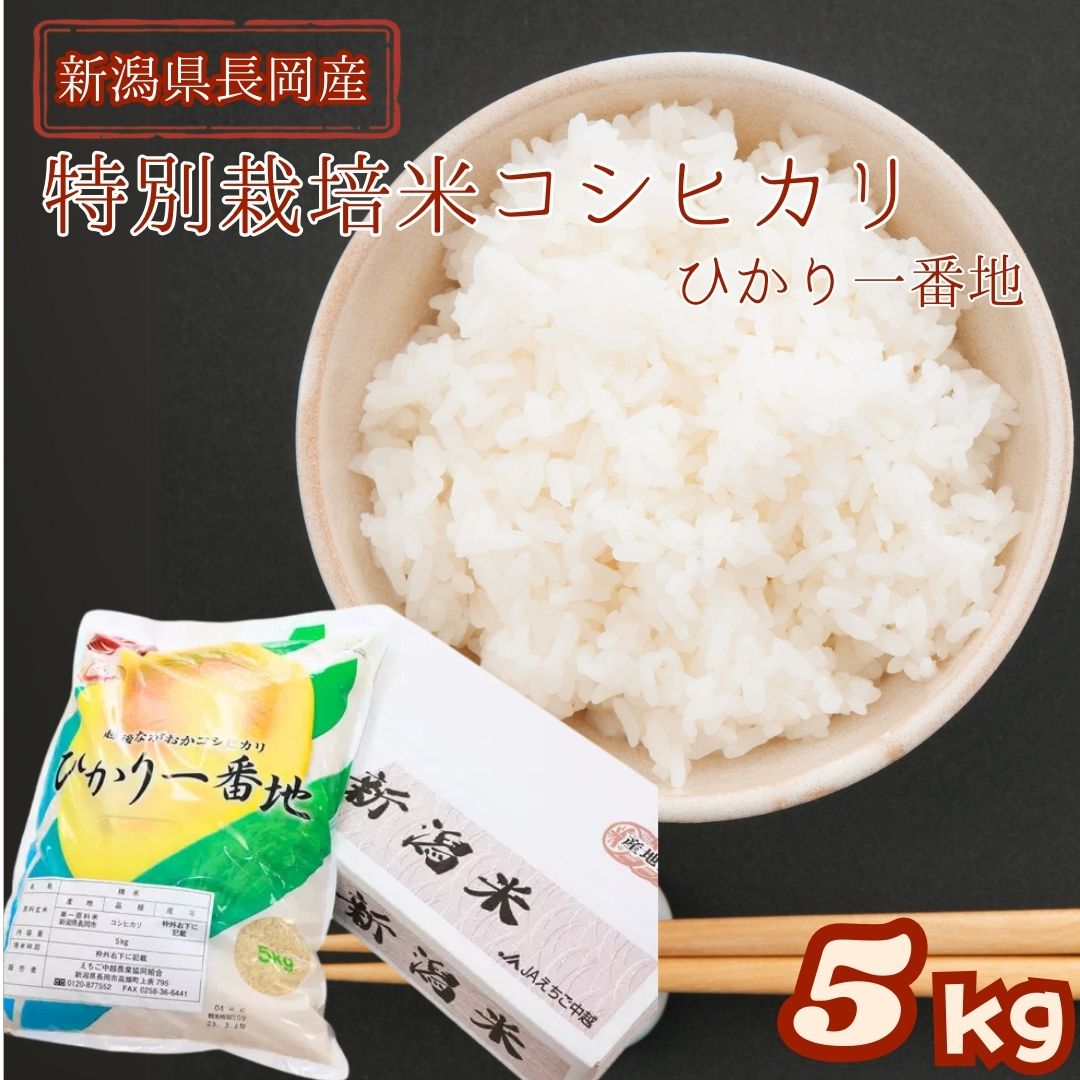 【産地直送】長岡産コシヒカリ 5kg 10kg(ひかり一番地）特別栽培米 令和７年新米 特栽米 白米 新潟県 コシヒカリ 白米 精米 米 こしひかり 化学肥料・農薬を低減 えちご中越農業協同組合 JAえちご中越｜長岡市公式ショップ丸ごとながおか