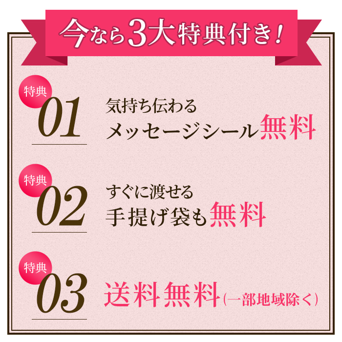 激安ブランド 引っ越し 引っ越し挨拶ギフト 挨拶 挨拶品 引っ越し挨拶品 プチギフト 粗品 挨拶ギフト 退職 異動 転勤 お礼 あいさつ 300円 500円 お世話になりました 卒園 卒業 カステラ 個包装 50個 Tkx50 カステラ専門店 長崎 心泉堂 W オープニング大放出