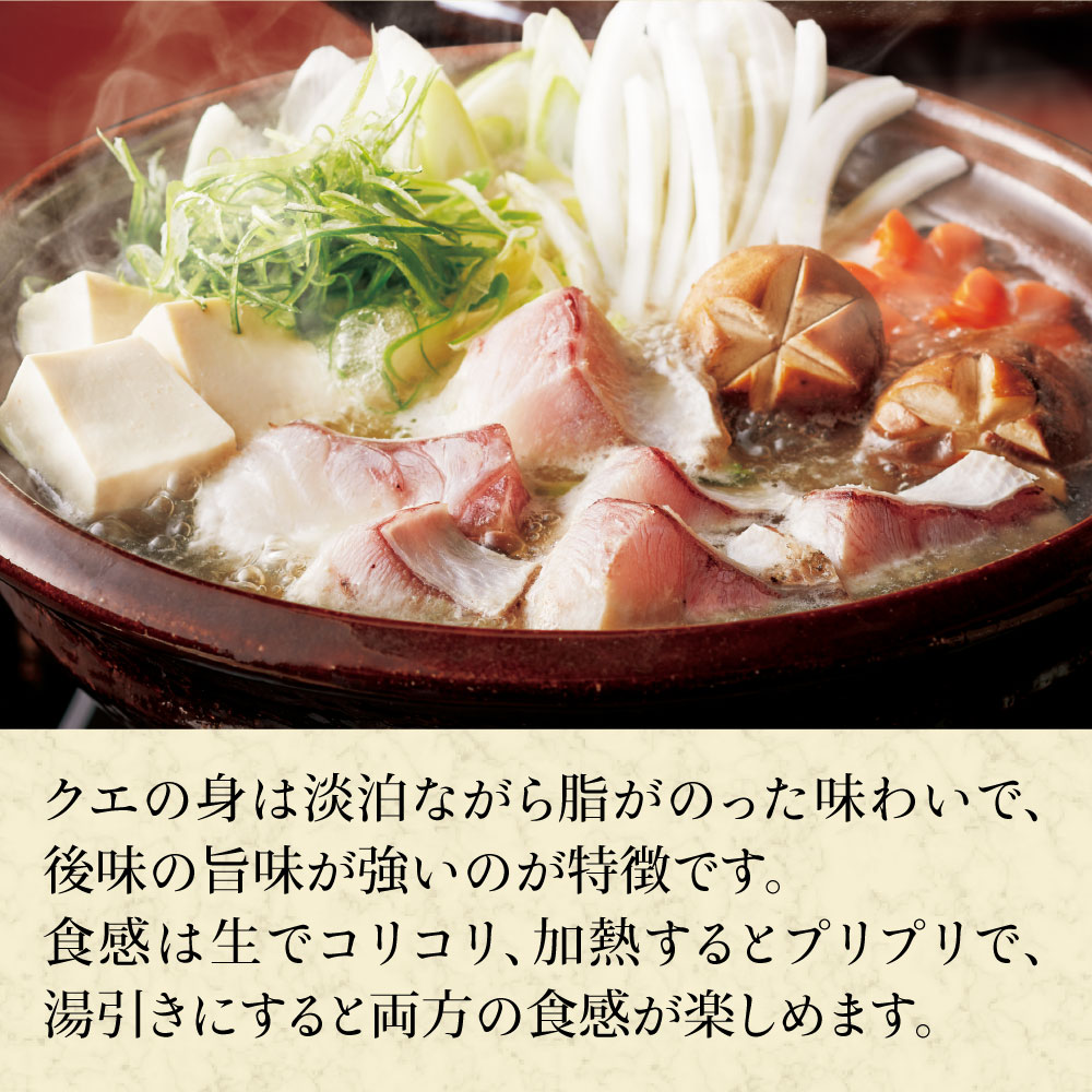 クエ鍋/セット/豪華海鮮/グルメ/鍋セット/くえ/クエ鍋