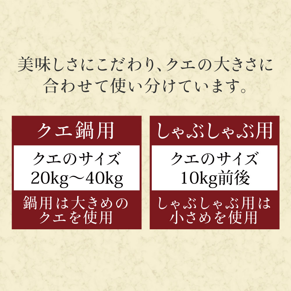 クエ鍋/セット/豪華海鮮/グルメ/鍋セット/くえ/クエ