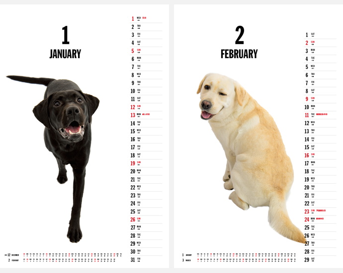 楽天市場 年 壁掛けカレンダー ラブラドール レトリーバー エイスタイル 壁掛けカレンダー 犬 いぬ イヌ 動物 写真 壁掛けカレンダー 人気 かわいい ナガサワ文具センター