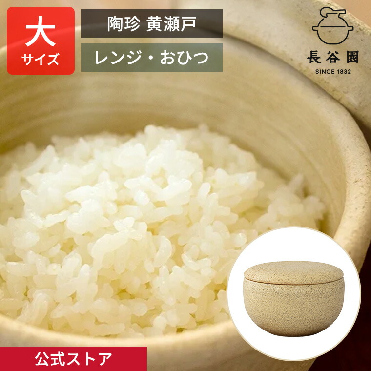 楽天市場】【公式】 浅漬器 1000ml 長谷園 浅漬け容器 漬物 漬物