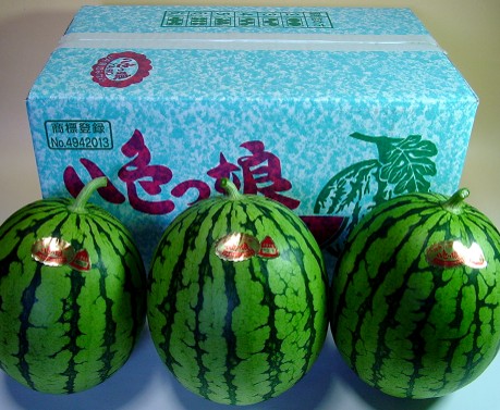 楽天市場 秀品 魚沼八色 やいろ 産小玉西瓜八色っ娘 やいろっこ ４玉入１箱 入荷後順次発送させていただきます 送料込み 新潟の地酒 特産 日本酒の長田屋