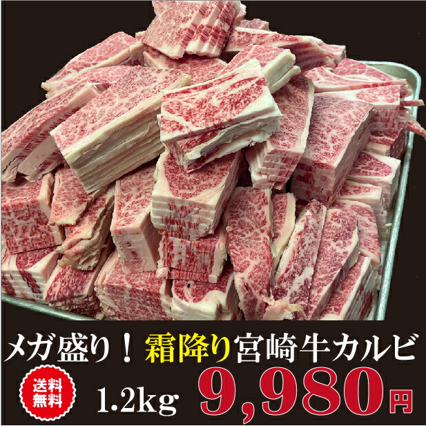 メガ盛り 霜降り 宮崎牛カルビ 1.2Kg 送料無料 A4 A5 ランク 焼肉 バーベキュー BBQ 日本一 宮崎牛 牛肉 キャンプ 宮崎県産 黒毛和牛 冷凍 A4 A5 ランク 焼肉  和牛 ブランド ギフト プレゼント 肉 国産