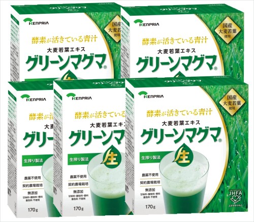大麦若葉エキス グリーンマグマ 170g (5)