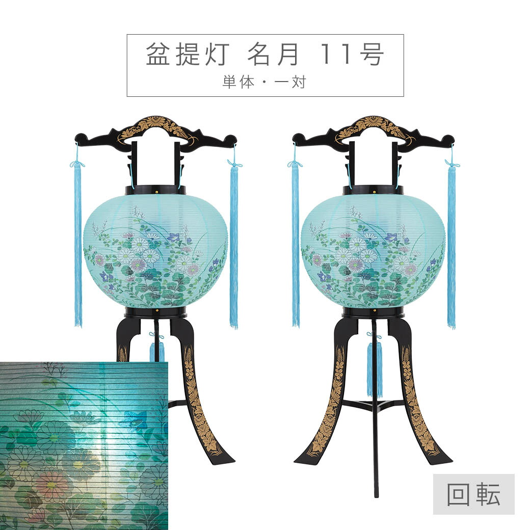 名月 11号