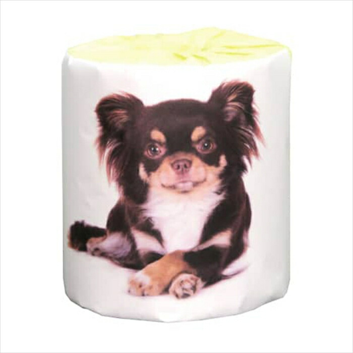 販促用 贈答用 粗品 景品 トイレットペーパー 林製紙 仔犬 チワワ ダブル30m 個包装50個